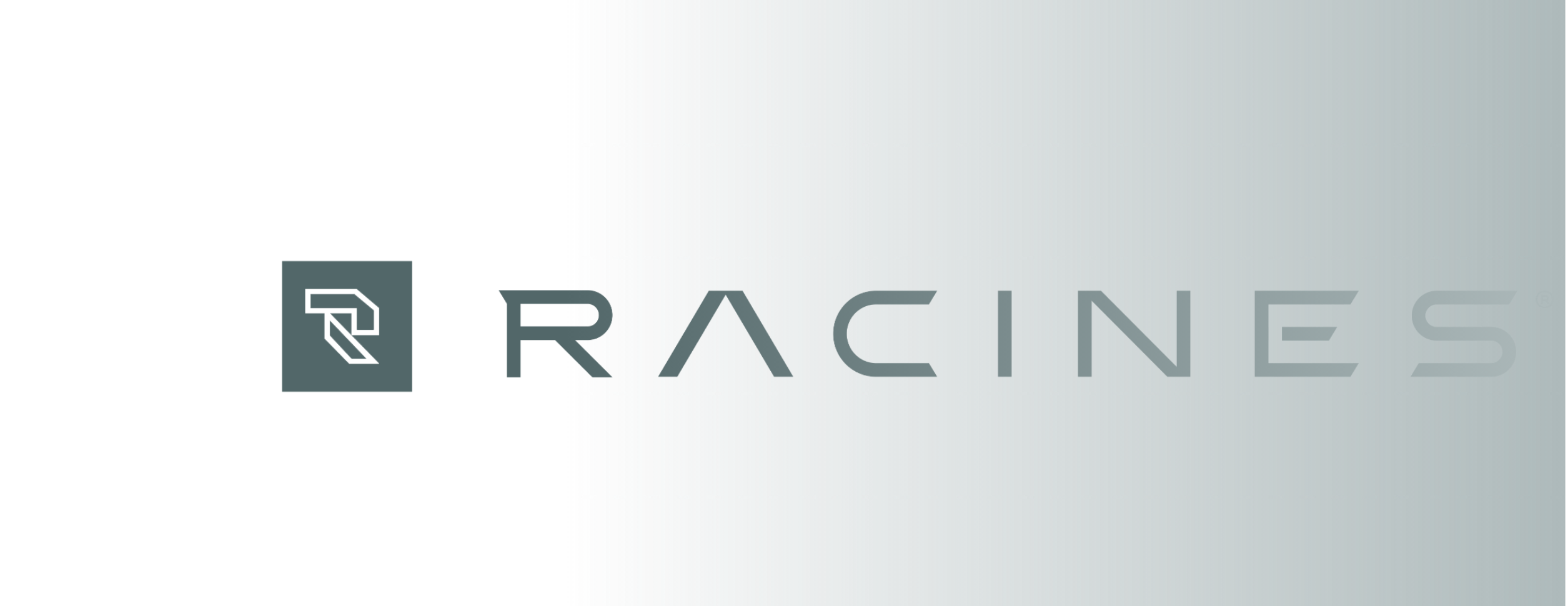 patrick_morvan_UI_Designer_Racines_Logo